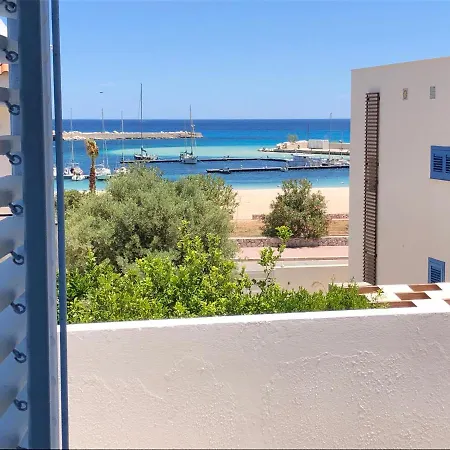 Acacie San Vito Lo Capo